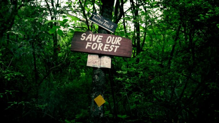 Jakie błędy popełniają rodzice przy rozwiązywaniu konfliktów domowych?